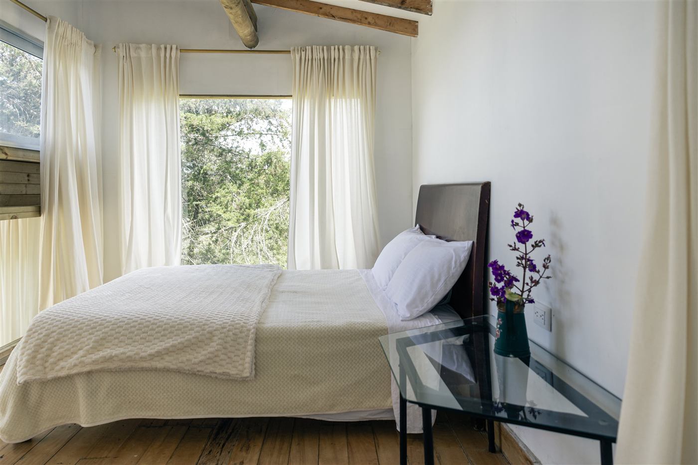 Habitaci&oacute;n con vista al bosque Carpintero